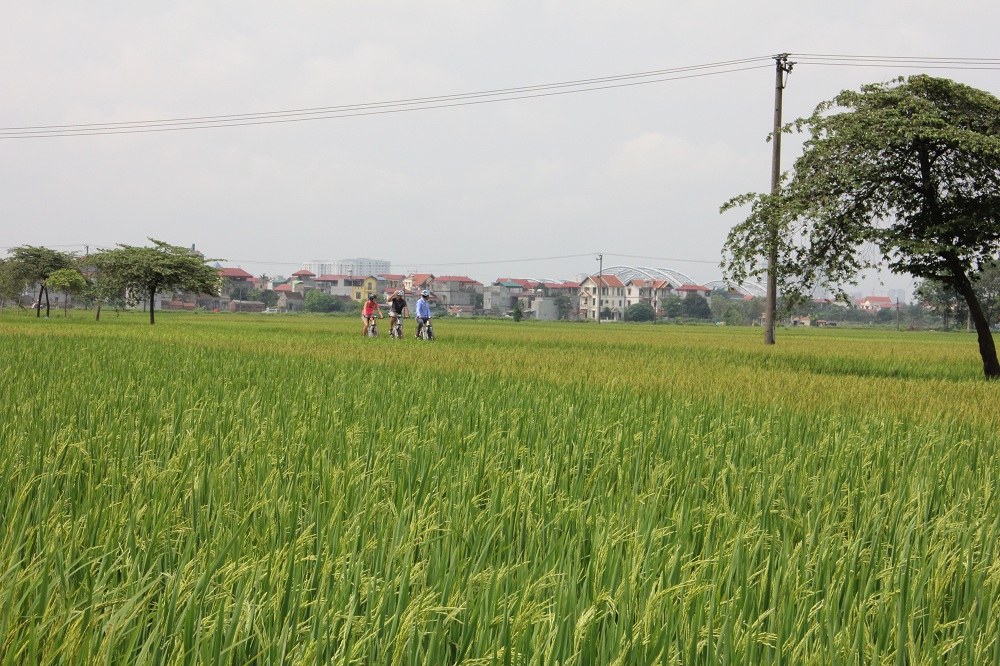 Bike Tours Hanoi – Hanoi Vespa Tours