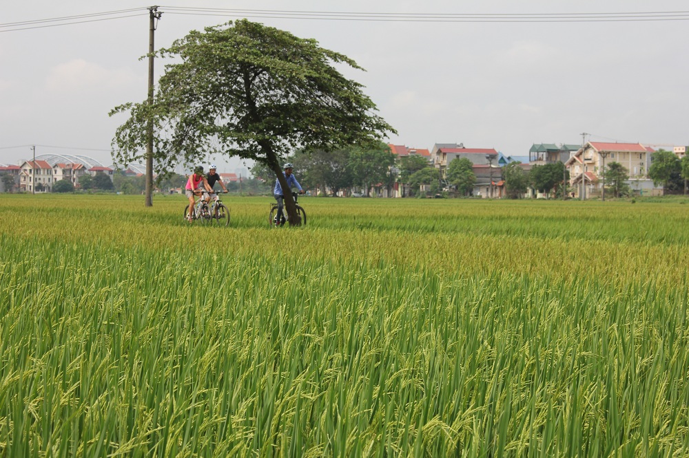 Bike Tours Hanoi – Hanoi Vespa Tours