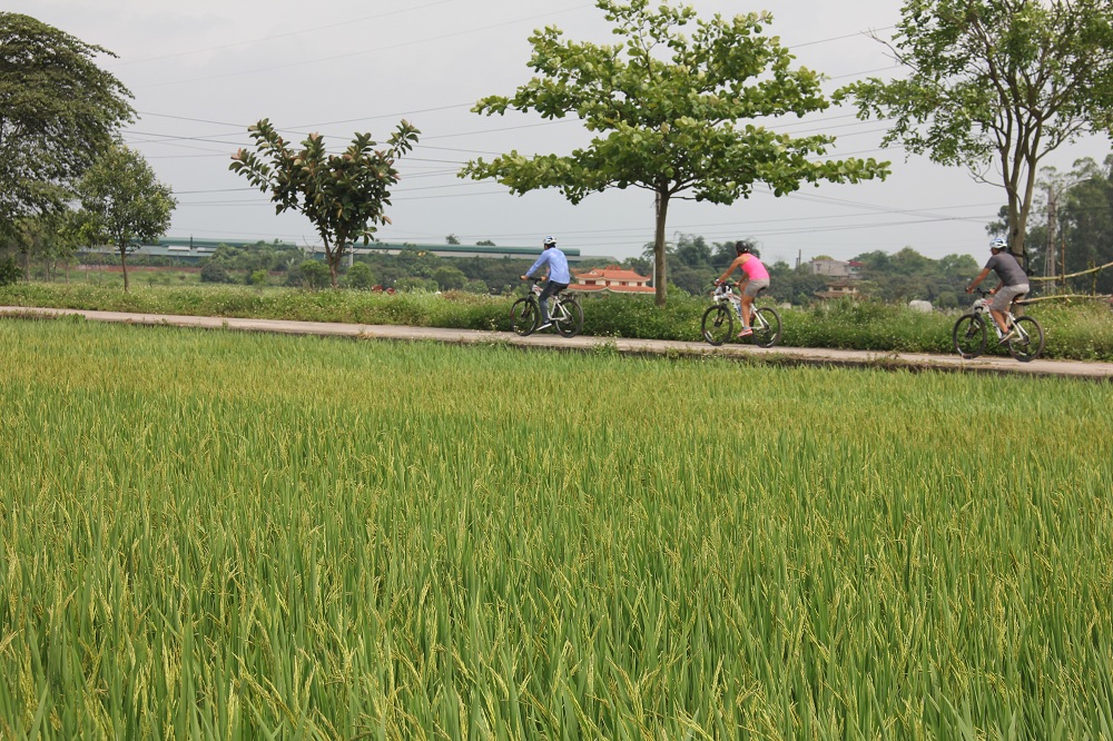 Bike Tours Hanoi – Hanoi Vespa Tours