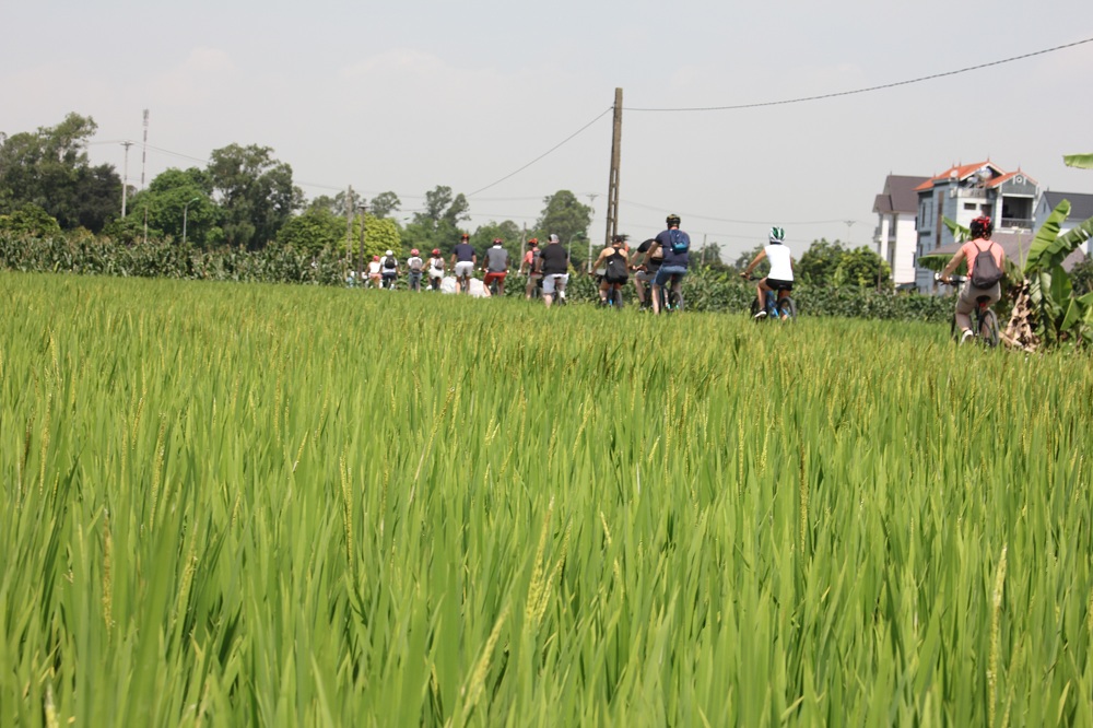 Bike Tours Hanoi – Hanoi Vespa Tours