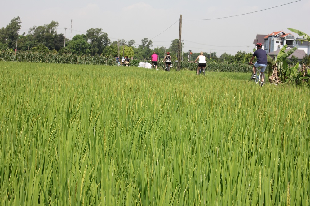 Bike Tours Hanoi – Hanoi Vespa Tours