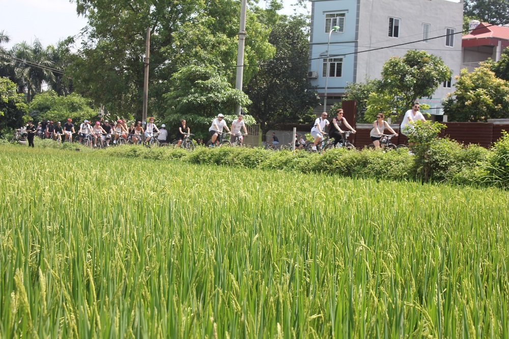 Bike Tours Hanoi – Hanoi Vespa Tours