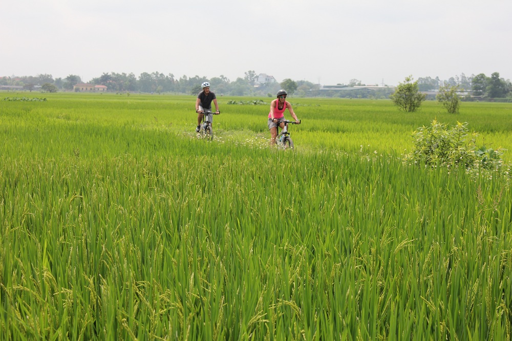 Bike Tours Hanoi – Hanoi Vespa Tours