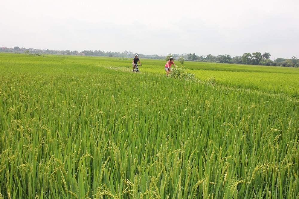 Bike Tours Hanoi – Hanoi Vespa Tours