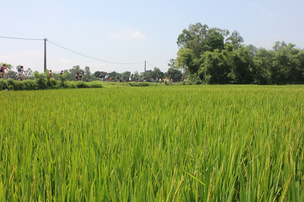 Bike Tours Hanoi – Hanoi Vespa Tours