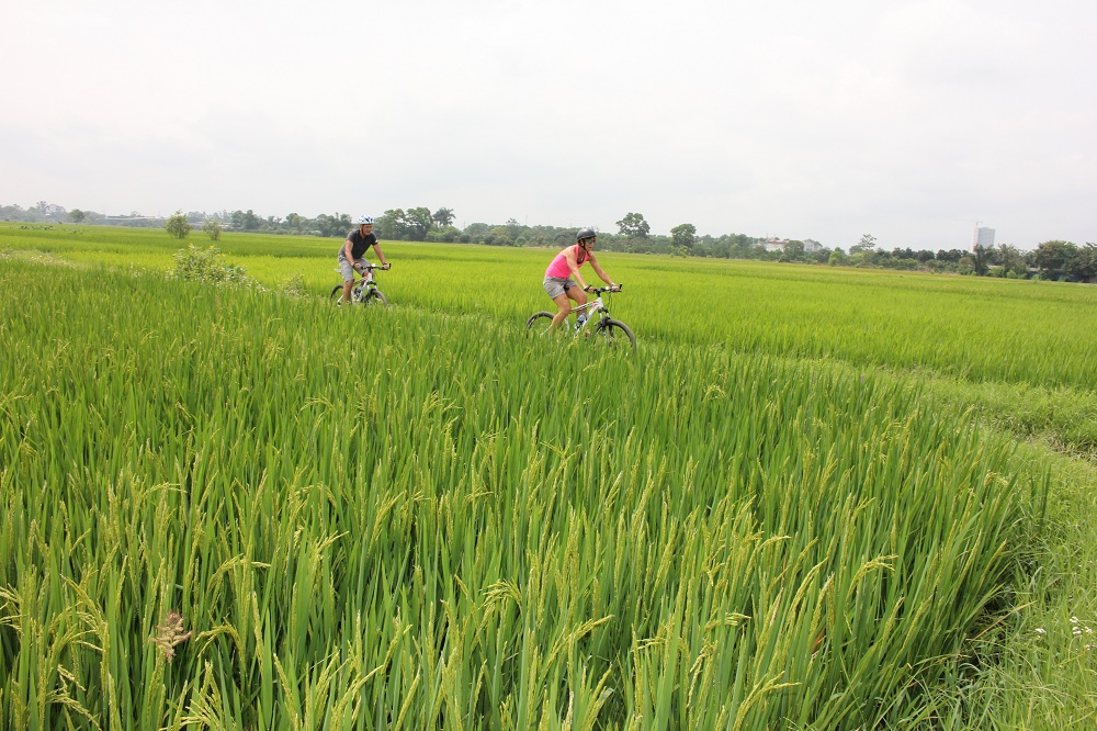 Bike Tours Hanoi – Hanoi Vespa Tours