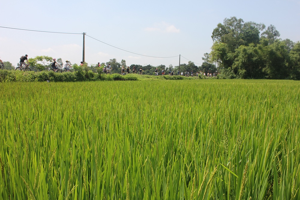 Bike Tours Hanoi – Hanoi Vespa Tours