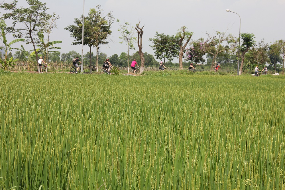 Bike Tours Hanoi – Hanoi Vespa Tours