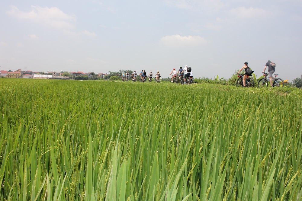 Bike Tours Hanoi – Hanoi Vespa Tours