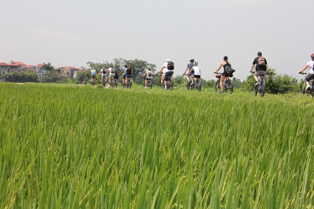 Bike Tours Hanoi – Hanoi Vespa Tours