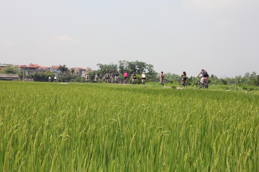 Bike Tours Hanoi – Hanoi Vespa Tours