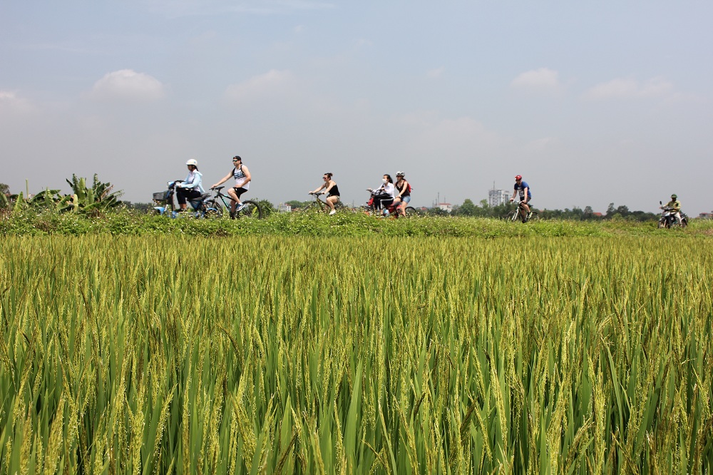 Bike Tours Hanoi – Hanoi Vespa Tours