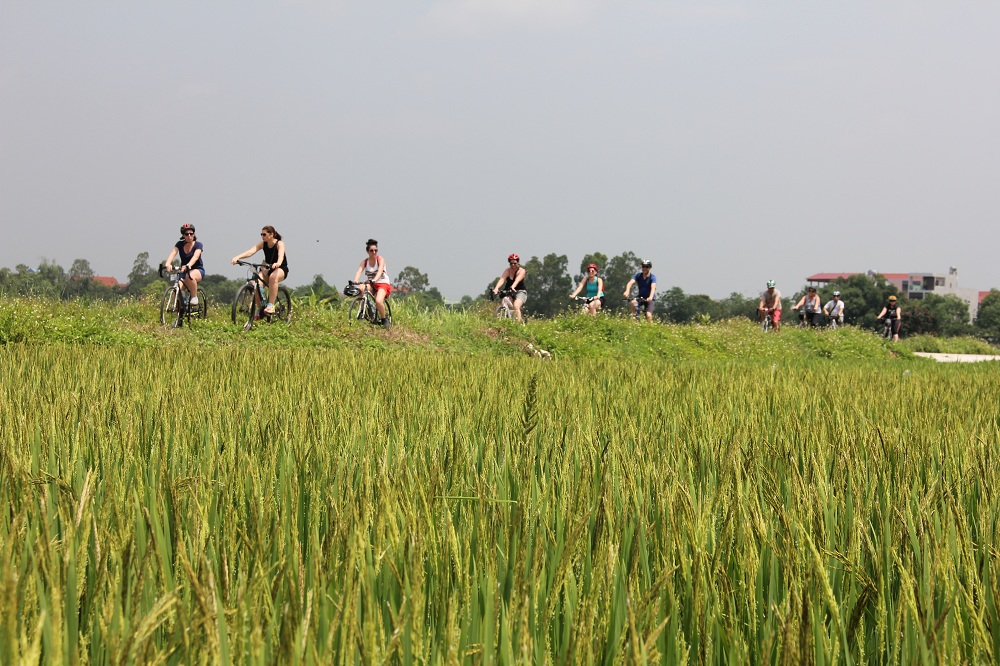 Bike Tours Hanoi – Hanoi Vespa Tours