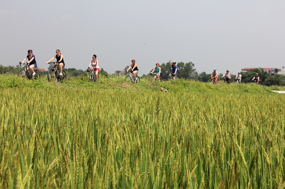 Bike Tours Hanoi – Hanoi Vespa Tours