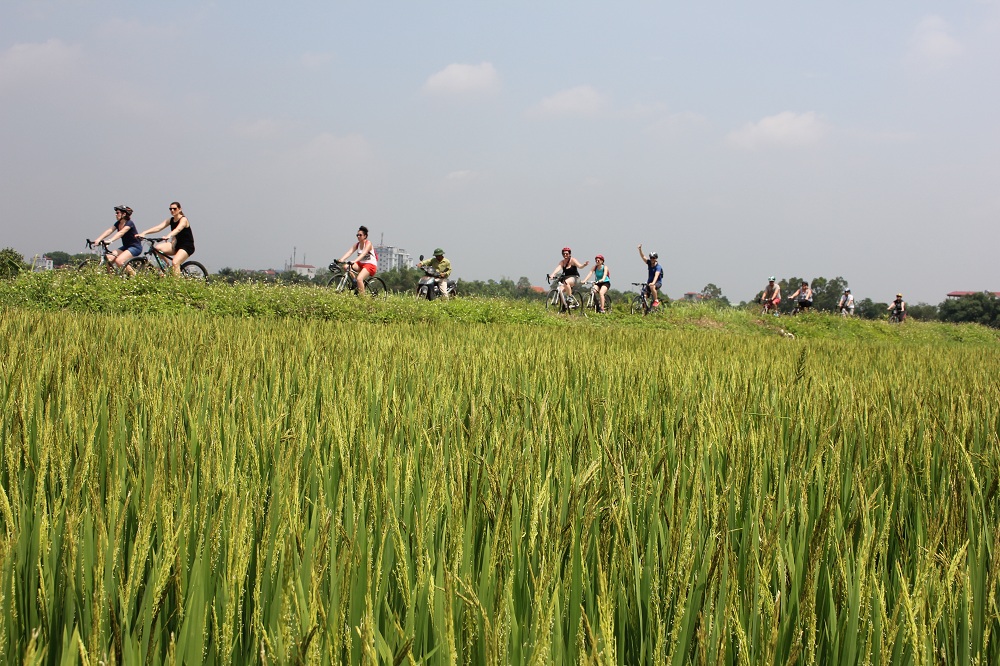 Bike Tours Hanoi – Hanoi Vespa Tours