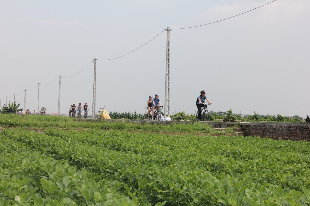 Bike Tours Hanoi – Hanoi Vespa Tours