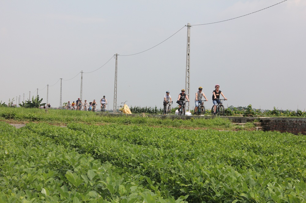 Bike Tours Hanoi – Hanoi Vespa Tours