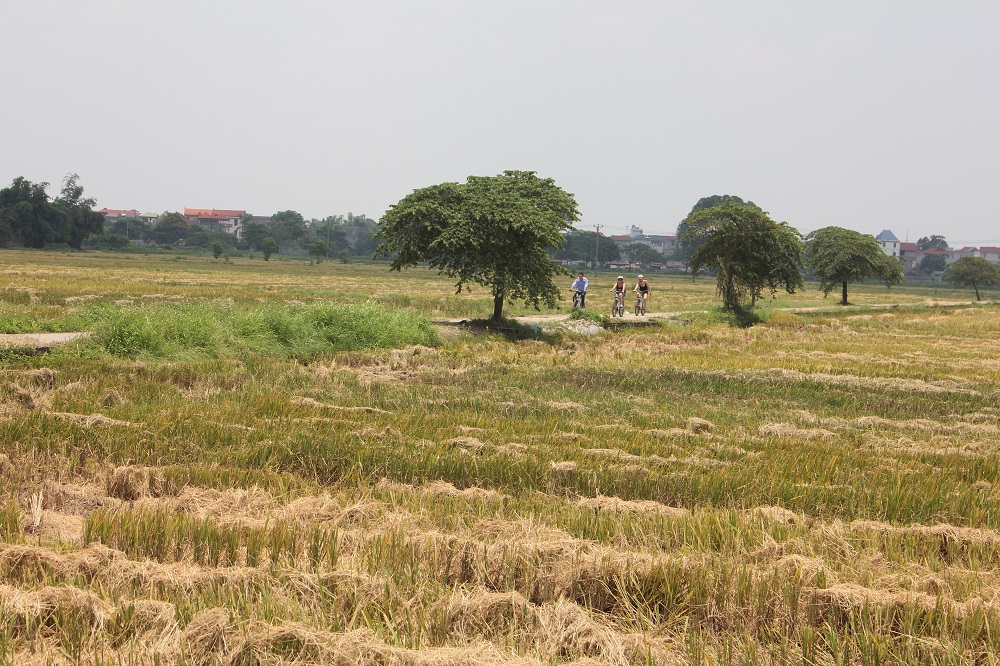 Bike Tours Hanoi – Hanoi Vespa Tours