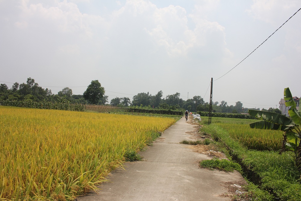 Bike Tours Hanoi – Hanoi Vespa Tours