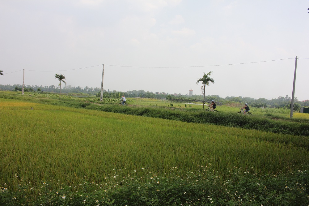 Bike Tours Hanoi – Hanoi Vespa Tours