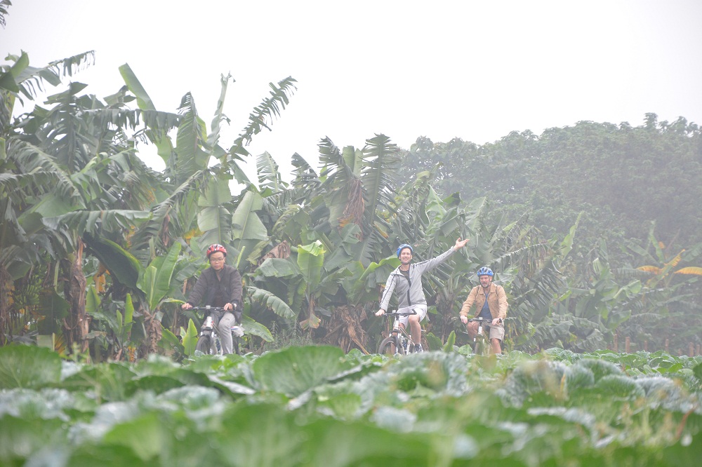 Bike Tours Hanoi – Hanoi Vespa Tours