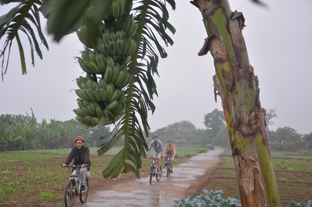 Bike Tours Hanoi – Hanoi Vespa Tours