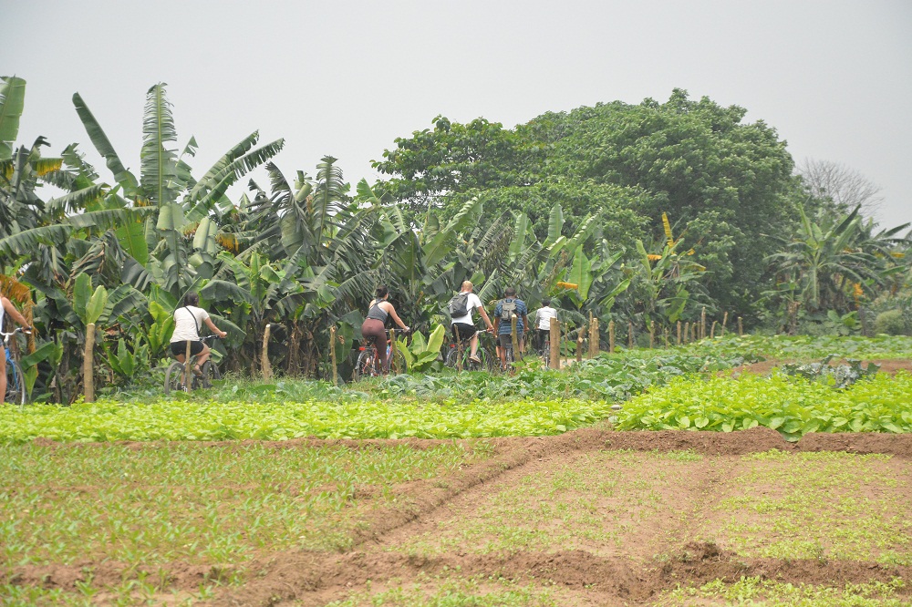 Bike Tours Hanoi – Hanoi Vespa Tours