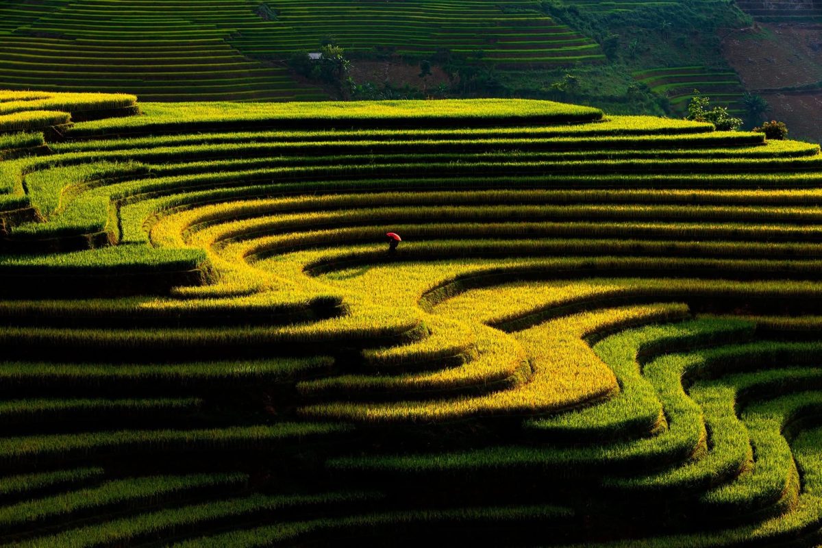 Bike Tours Hanoi