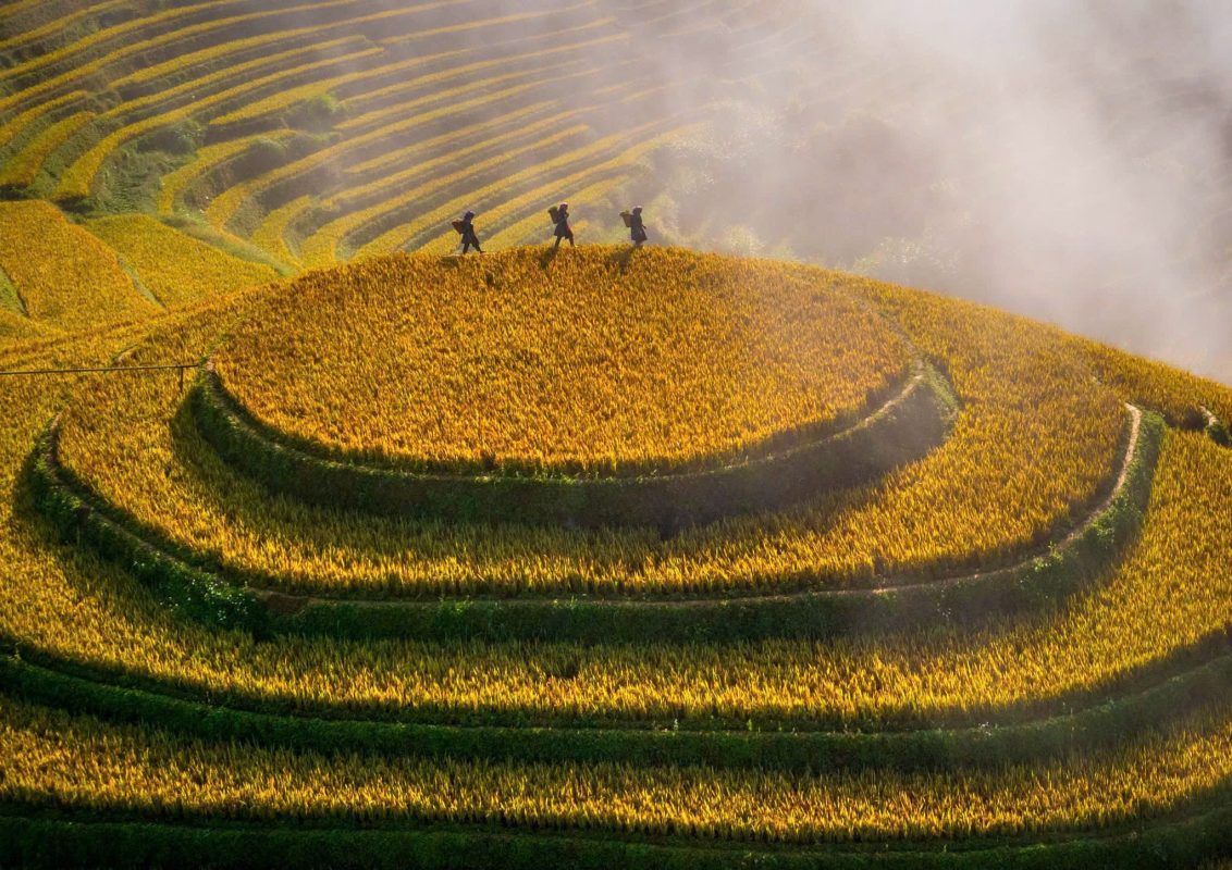 Bike Tours Hanoi