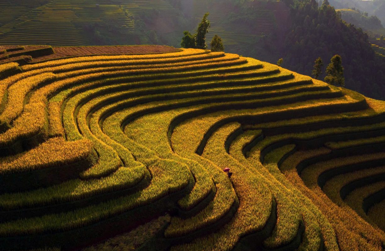Bike Tours Hanoi