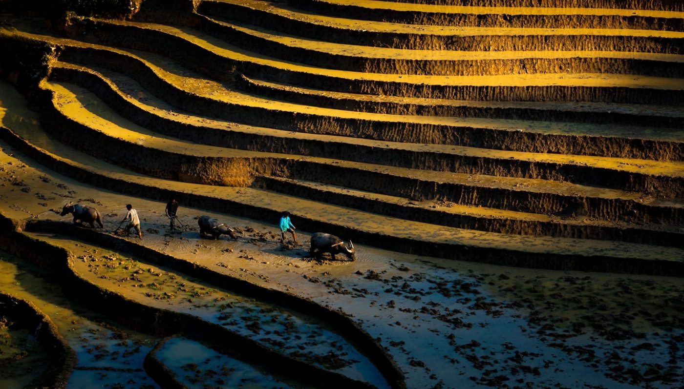 Bike Tours Hanoi