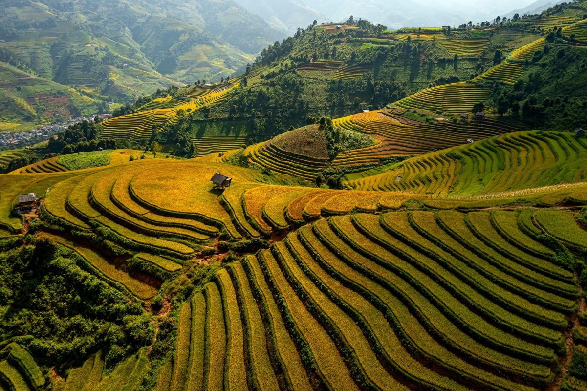 Bike Tours Hanoi