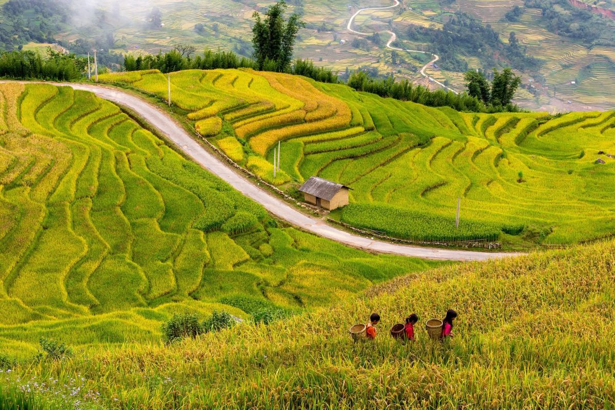 Bike Tours Hanoi