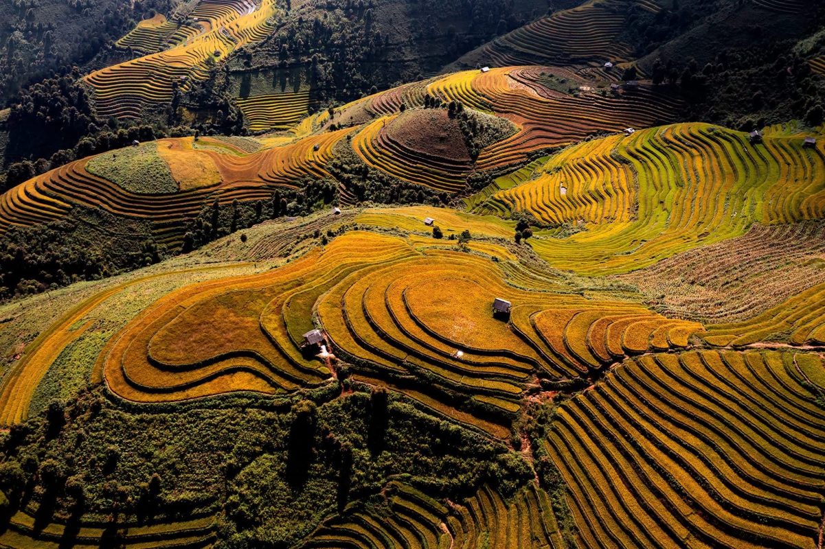 Bike Tours Hanoi